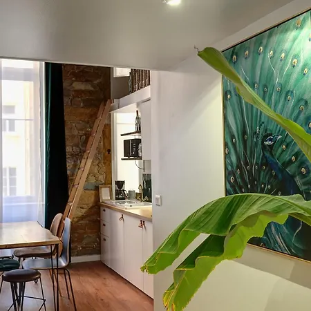 La Casa Jungle - Spa - Lyon Centre, Pentes De La Croix Rousse Buitenkant foto